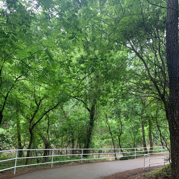 Meet your Posher, Aleida salinas - Picture 1 of 1